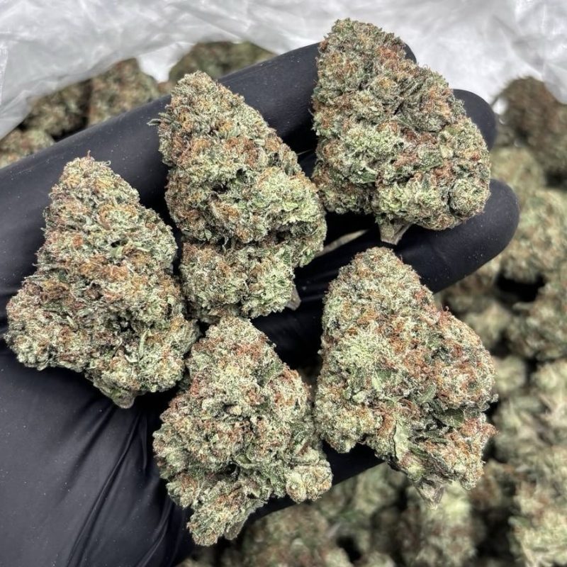 White Gushers (I)(28g)