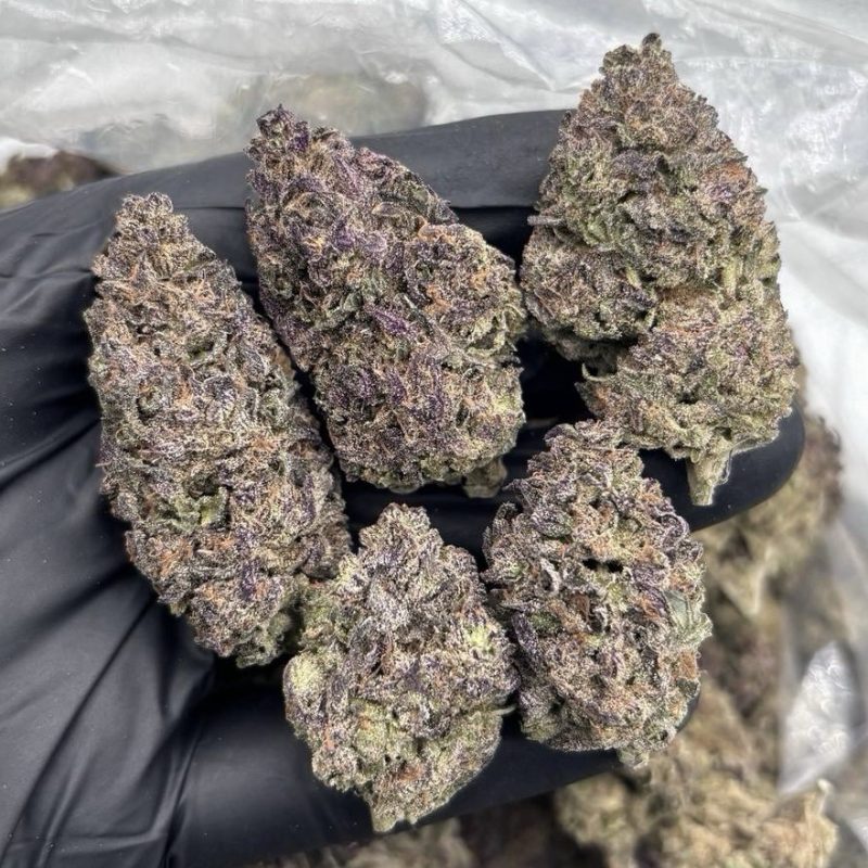 Apple Jealousy (S)(28g)