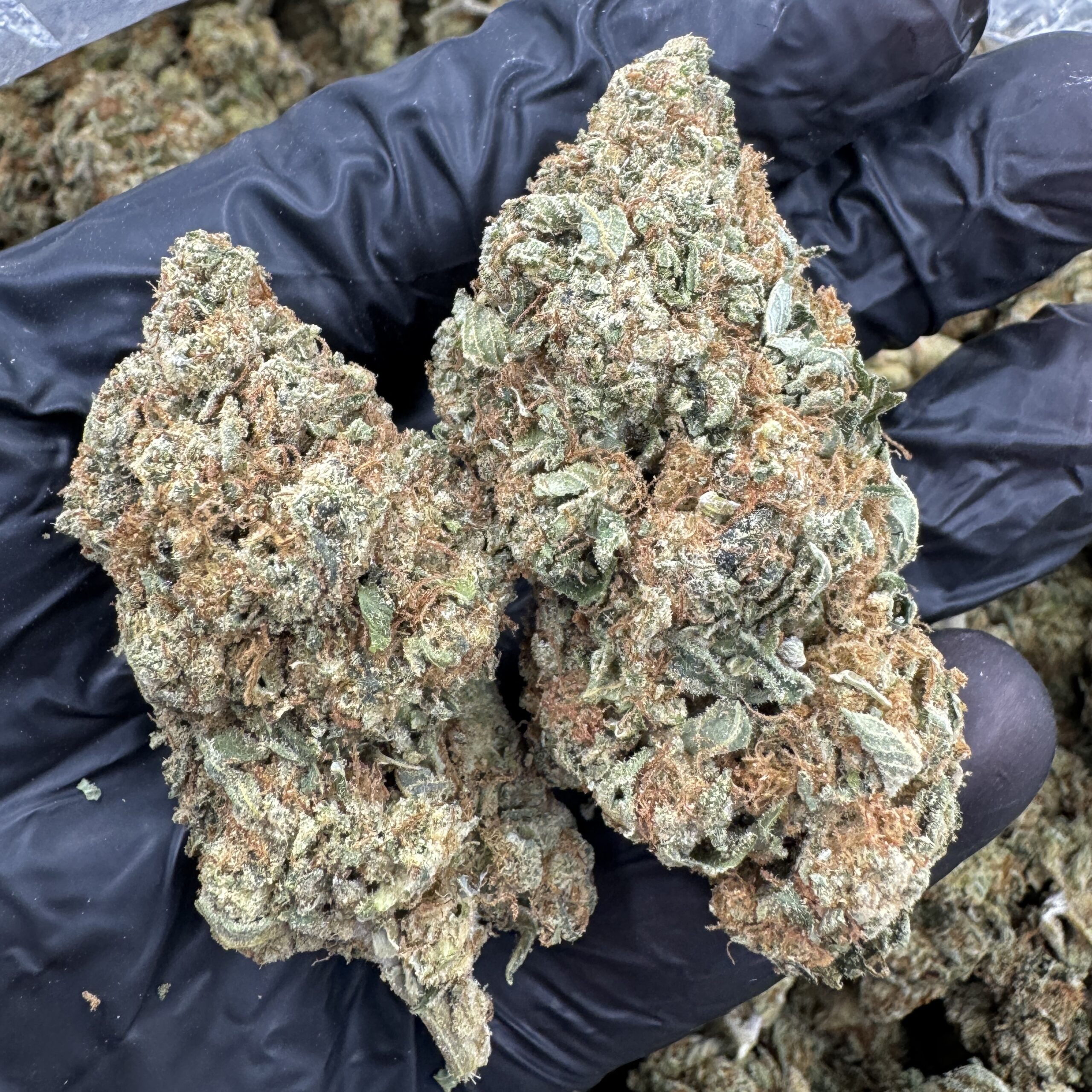 Purple Punch (H)(28g)