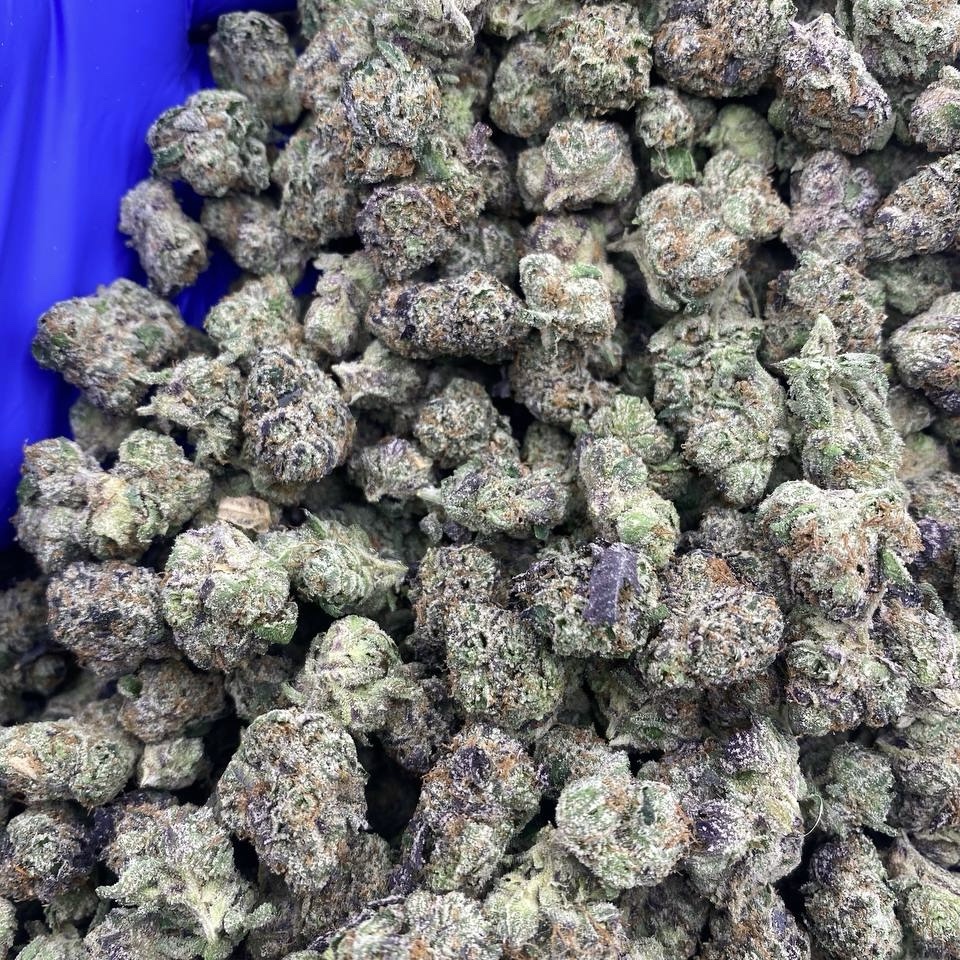 PRE 64 Runtz (I)(28g)