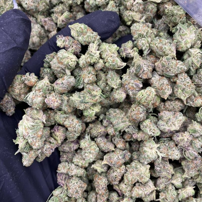Glitter Bomb (S)(28g)