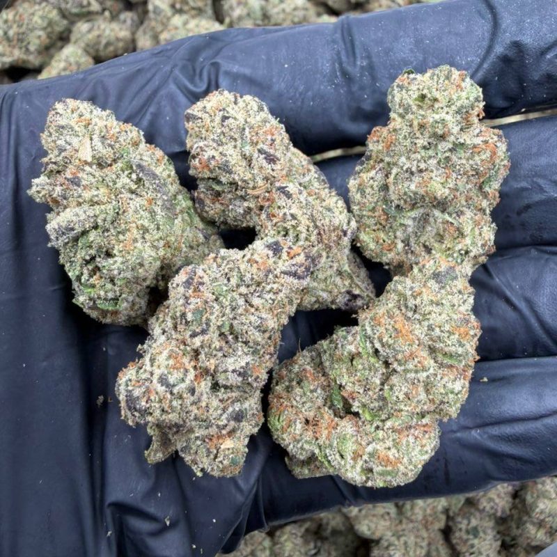 Blue Candy Runtz (I)