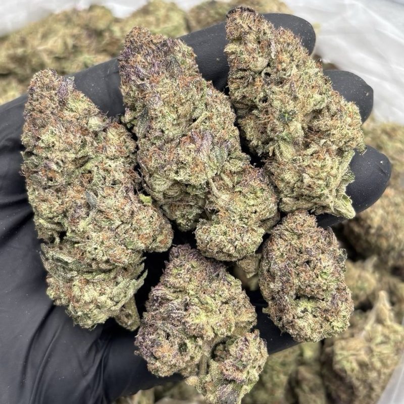 Cherry Fritter (S)(28g)