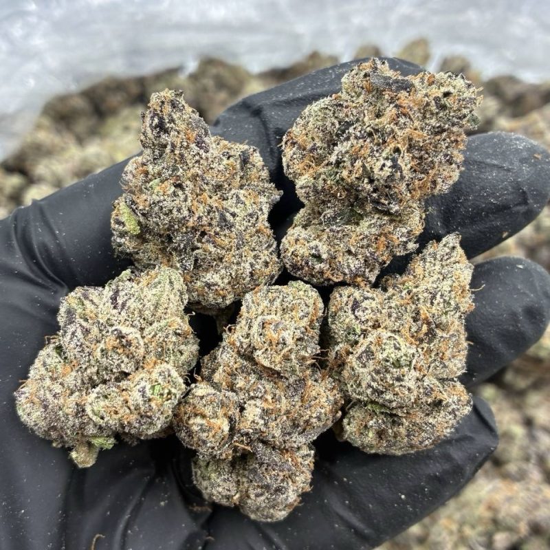 Black Cherry curelato (I)