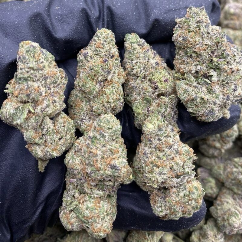 Rainbow Push Pop (I)