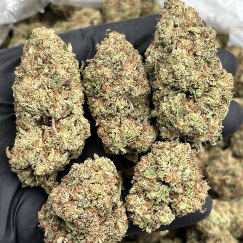 Orange Sherb (S)(28g)
