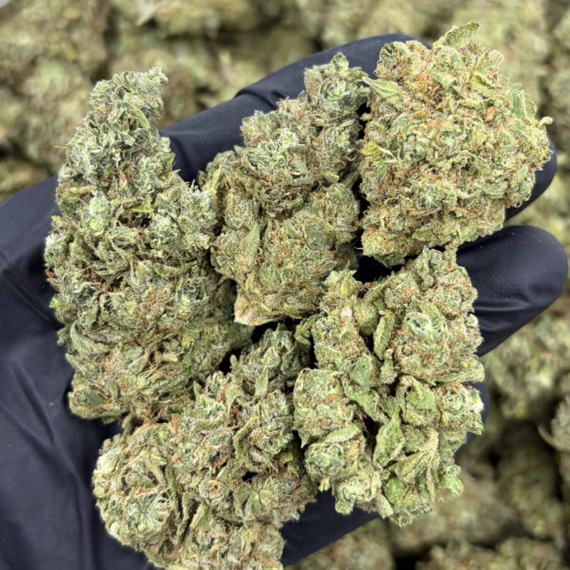 Galactic Green Kush (H)(28g)