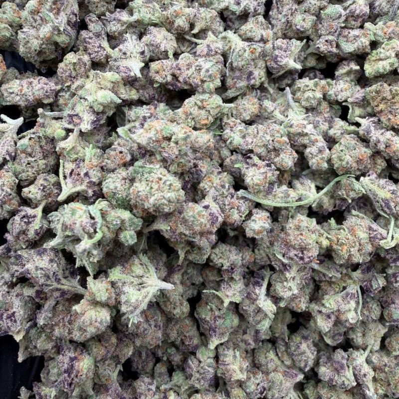 Glitter Bomb (IH)(28g)