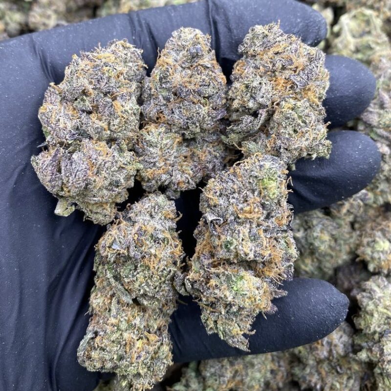 Permanent Marker (I)