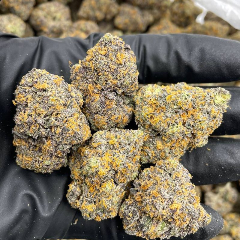 Bubblegum S'mores (IH)