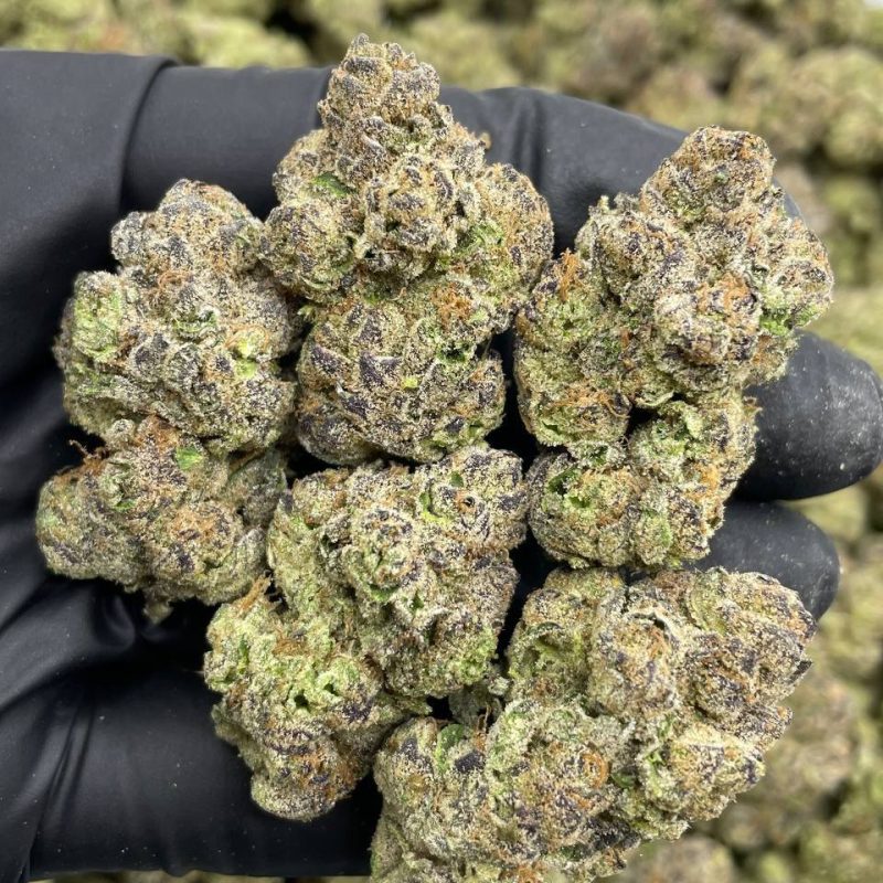 Watermelon Truffle (H)