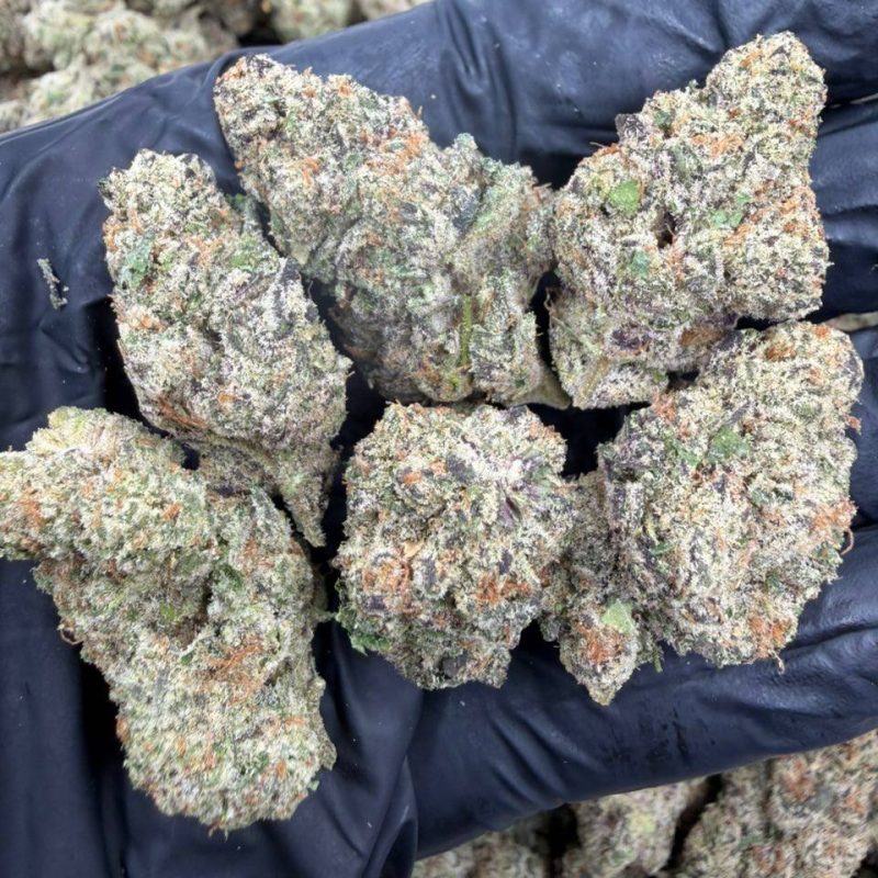 Starburst Runtz (IH)