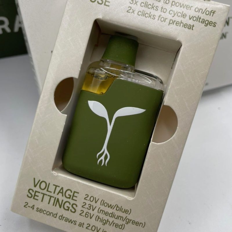 Raw Garden Disposable (1g)