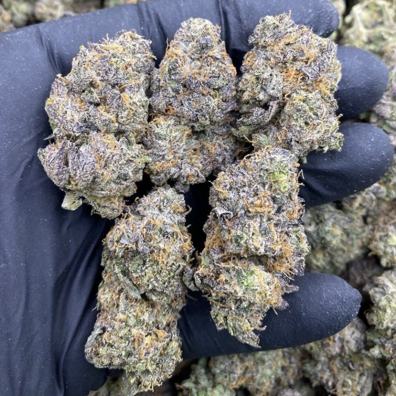 Permanent Marker x Cap Junky (I)