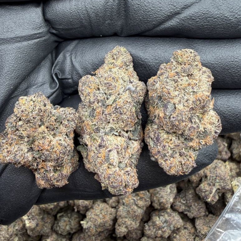 Blueberry Pancakes (S)