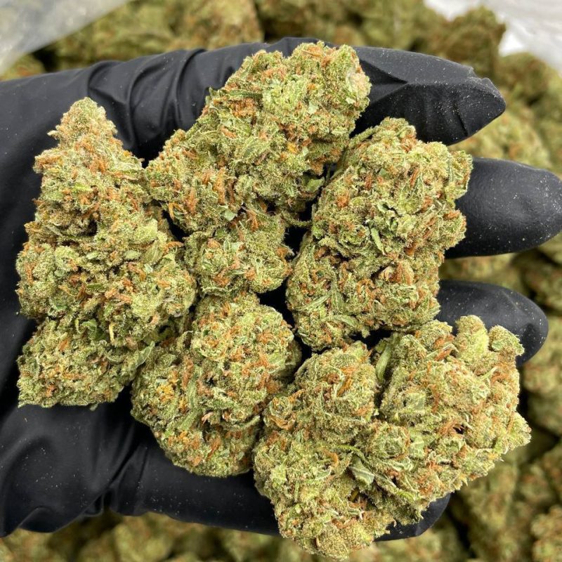 Blue Dream (S)