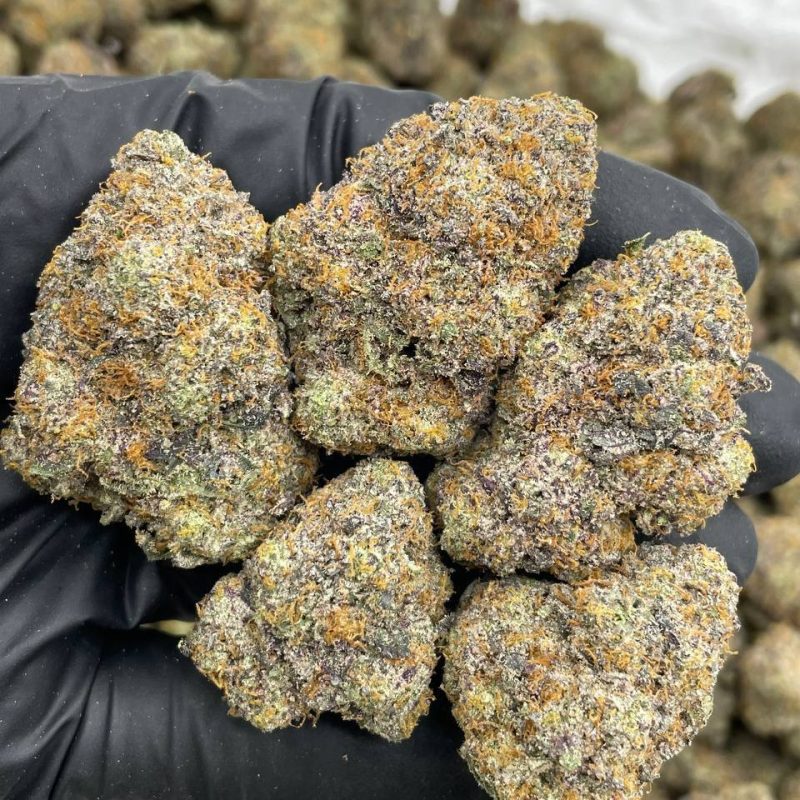 Rainbow Starburst (IH)