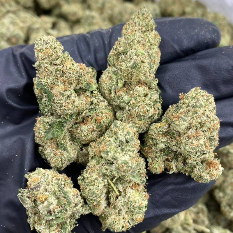 Fruit Loops (H/I)