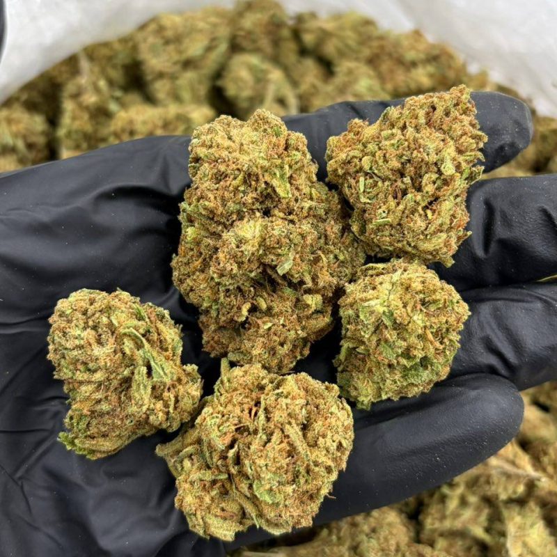 Super Lemon Haze (I)