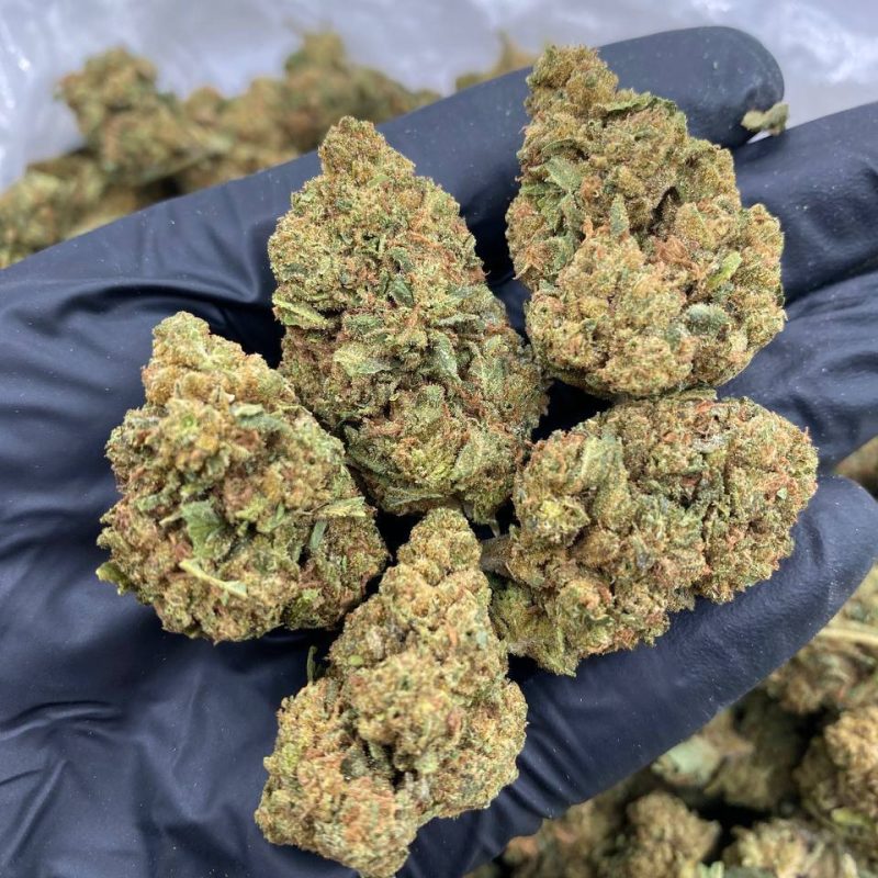 Sour Tangie (S)