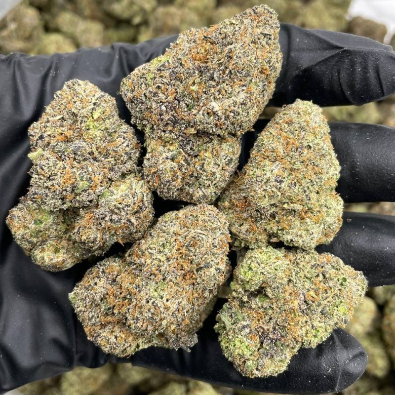 GMO Cookies (I)