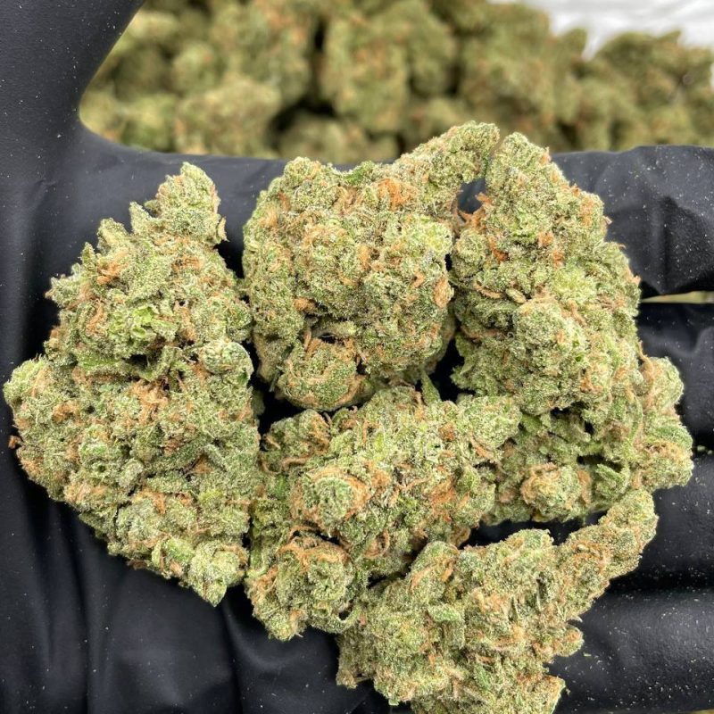 Northern Lights (I)