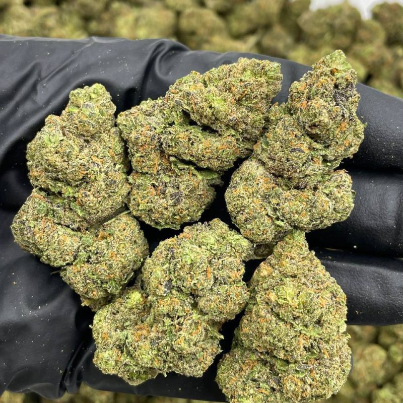 Guava Gushers (H)