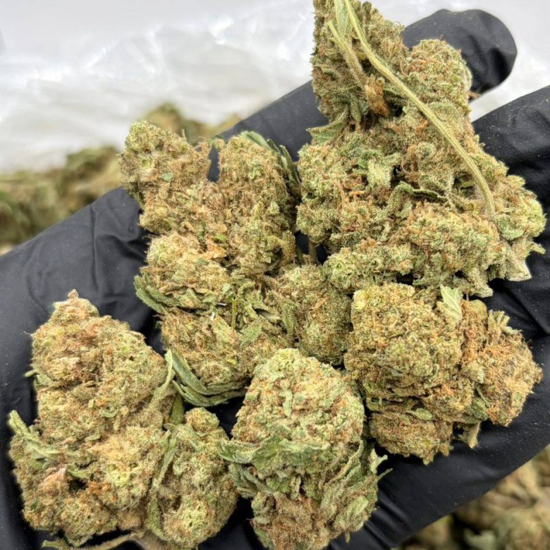 Sour Diesel (S)